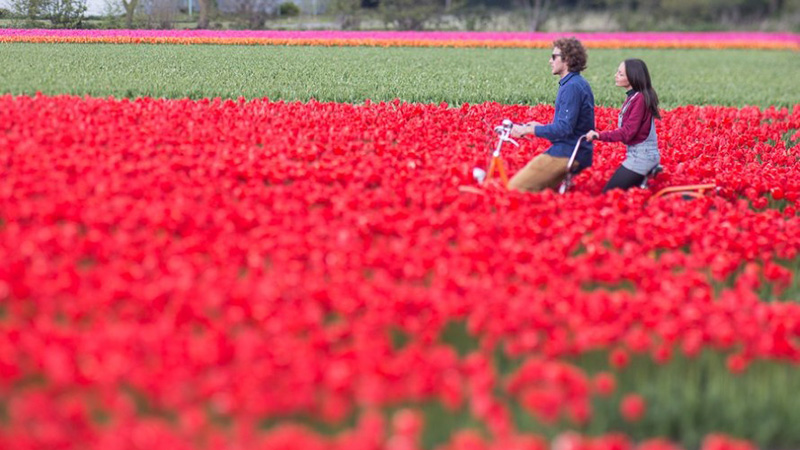 Holland - Kultur og natur